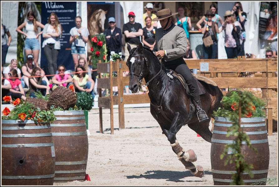 Pferd International 185